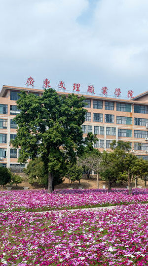 生态文理