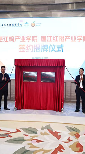 品牌文理