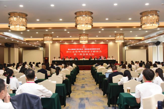 祝贺！宣依娜当选湛江市党外知识分子联谊会第三届理事会副会长